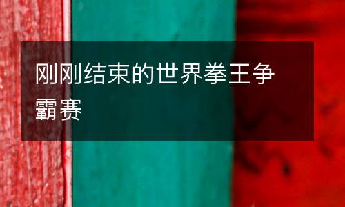 刚刚结束的世界拳王争霸赛