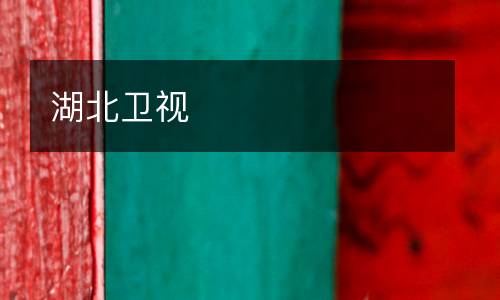 湖北卫视